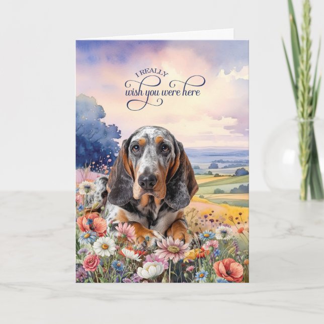 Bluetick Coonhound Dog Wildflowers Miss You Karte (Vorderseite)