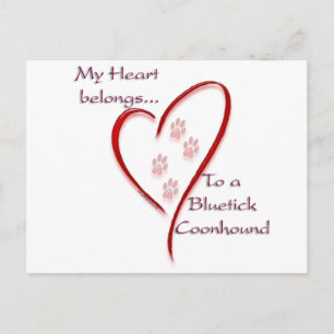 Bluetick Coonhound Heart Belongs Postkarte