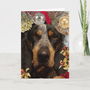 Bluetick Coonhound Hund/Foto Weihnachten Karte