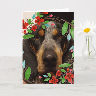 Bluetick Coonhound Hund/ Haustier Foto Karte