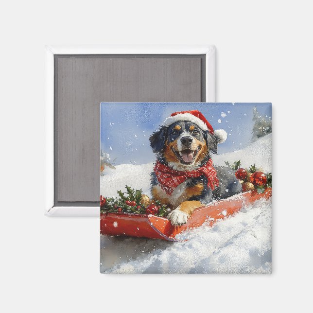 Bluetick Coonhound Hund in Sledge Weihnachten Magnet (Vorderseite/Rückseite)