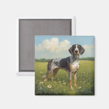 Bluetick Coonhound