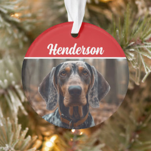 Bluetick Coonhound Name Foto Weihnachtsfeiertag Ornament