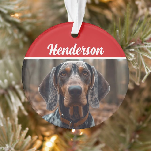 Bluetick Coonhound Name Foto Weihnachtsfeiertag Ornament (Baum)