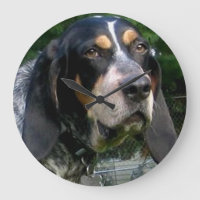 Bluetick Coonhound.png