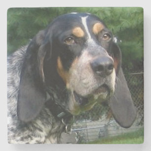Bluetick Coonhound.png Steinuntersetzer