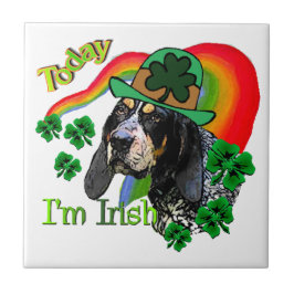 Bluetick Coonhound St Patricks Fliese