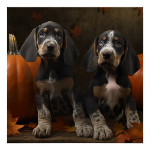 Bluetick Coonhound-Welpe Herbstfreude Kürbis Poster