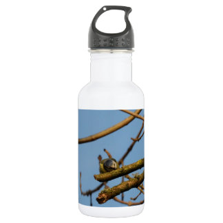 Bluetit Edelstahlflasche