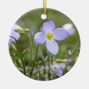 Bluets - Quäker-Damen Keramikornament