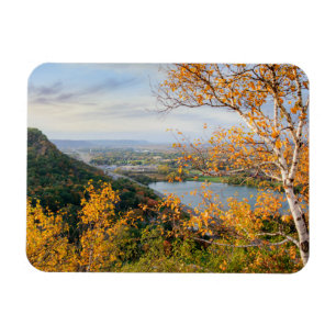 Bluff & Birch Panorama Magnet
