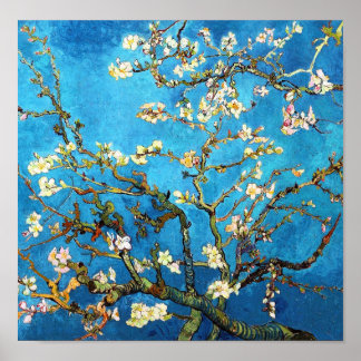 Blühen Almond Tree Van Gogh Kunst und Kultur Poster