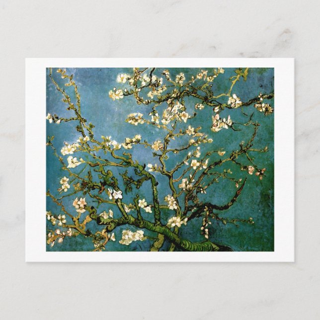 Blühen Almond Tree Van Gogh Kunst und Kultur Postkarte (Vorderseite)
