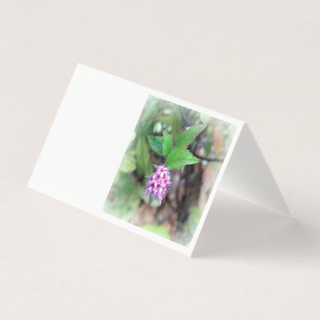 Blühen im Herbst (Vorderseite)