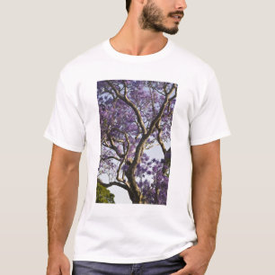 Blühen von Jacaranda Bäumen in New Farm Park, T-Shirt