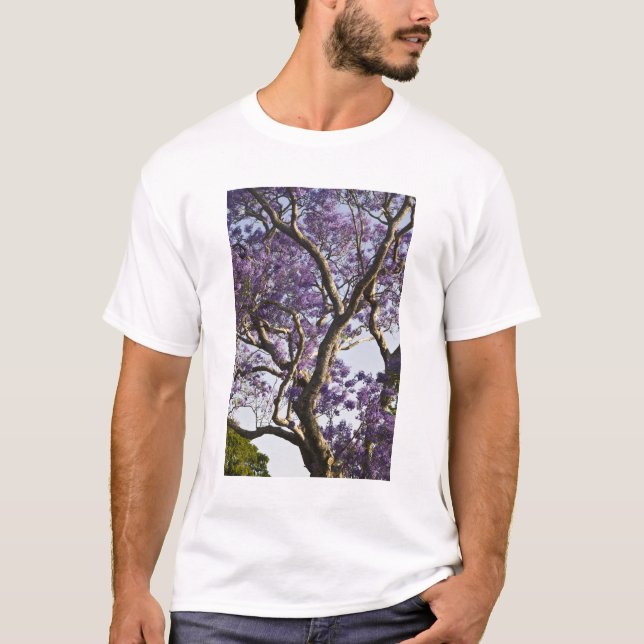 Blühen von Jacaranda Bäumen in New Farm Park, T-Shirt (Vorderseite)