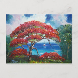 Blühen von Royal Poinciana Tree und Sailboat Postkarte