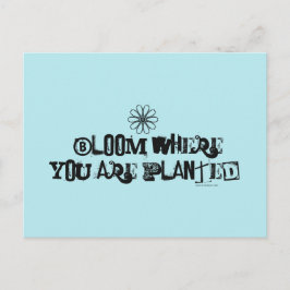 Blühen, wo du gepflanzt bist. postkarte