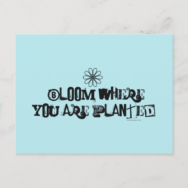 Blühen, wo du gepflanzt bist. postkarte (Vorderseite)