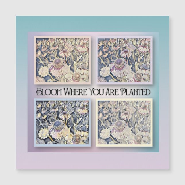 Blühen, wo Sie gepflanzt sind - Ermutigungskarte Magnetkarte (Vorderseite)