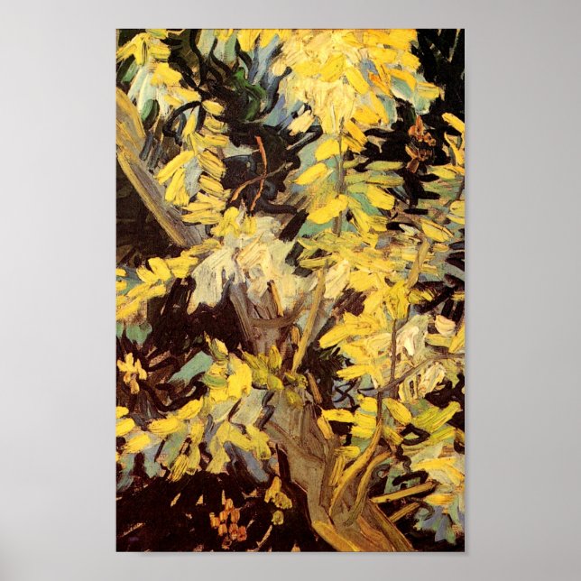 Blühende Akacia Branches Van Gogh Fine Art Poster (Vorne)