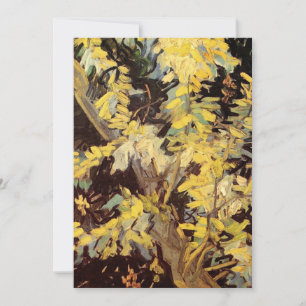 Blühende Akacia Branches von Vincent van Gogh