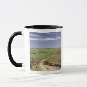 Blühende Aloen nahe Caledon, Westkap Tasse