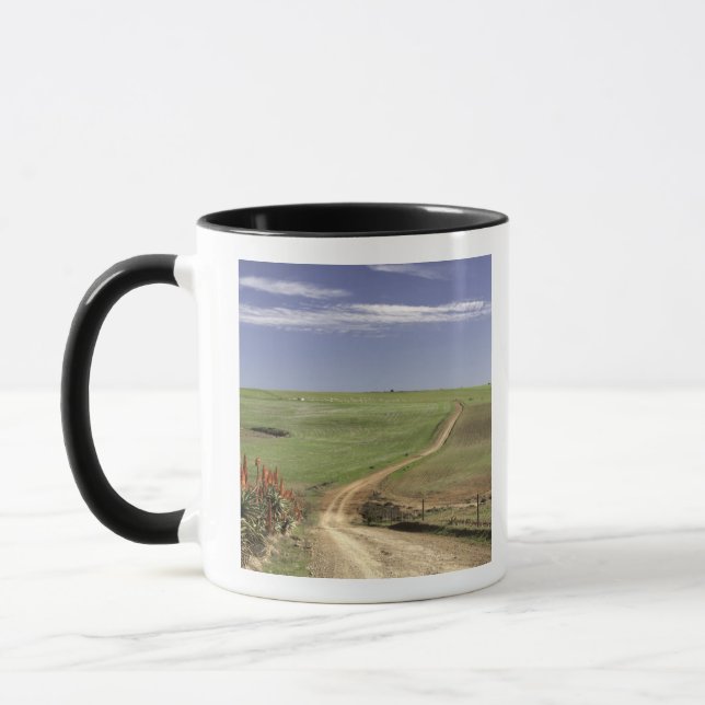 Blühende Aloen nahe Caledon, Westkap Tasse (Links)