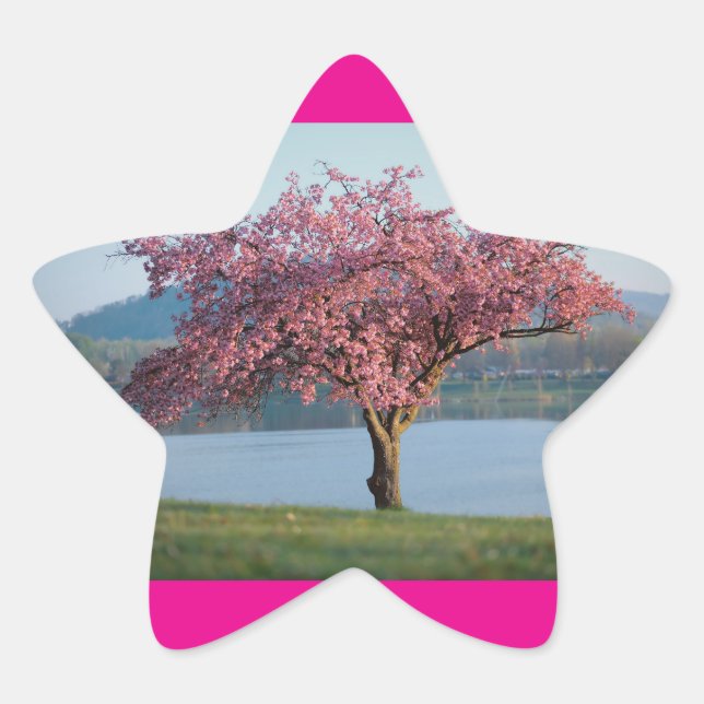 blühende Bäume Stern-Aufkleber (Vorderseite)