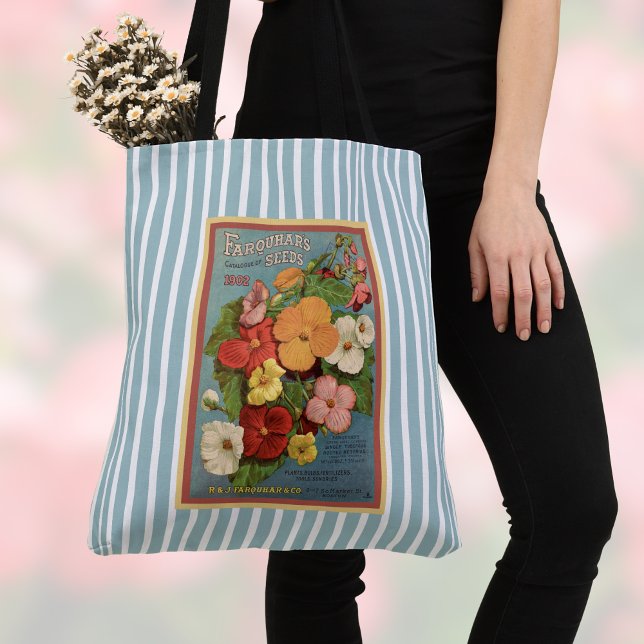 Blühende Begonien Rosa 1902 Samenpaket Blaue Strei (Von Creator hochgeladen)