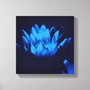 Blühende Blaue Wasserlilie Lotus Blume Abstrakt Leinwanddruck