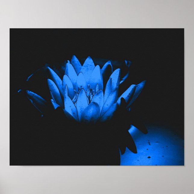 Blühende Blaue Wasserlilie Lotus Blume Abstrakt Poster (Vorne)