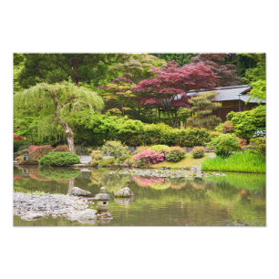 Blühende Blumen im Japanischen Garten, Fotodruck