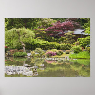 Blühende Blumen im Japanischen Garten, Poster