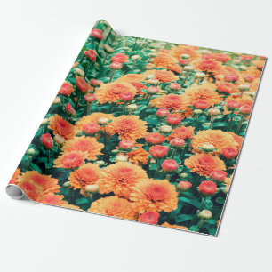 Blühende Blumen in einem Gartenautumn, Hintergrund Geschenkpapier