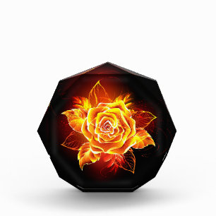 Blühende Feuerrose Fotoblock