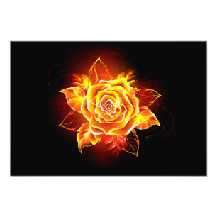 Blühende Feuerrose Fotodruck