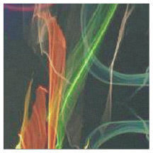 Blühende Feuerwerks-Volkskunst