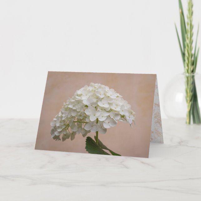 Blühende Freundschaft - Philippinen 1:3 Note Card Karte (Vorderseite)