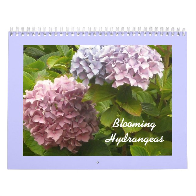 Blühende Hortensien Kalender (Titelbild)
