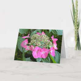 Blühende Hydrangea-Blankenkarte Dankeskarte