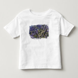 Blühende Jacaranda-Bäume im New Farm Park, 2 Kleinkind T-shirt