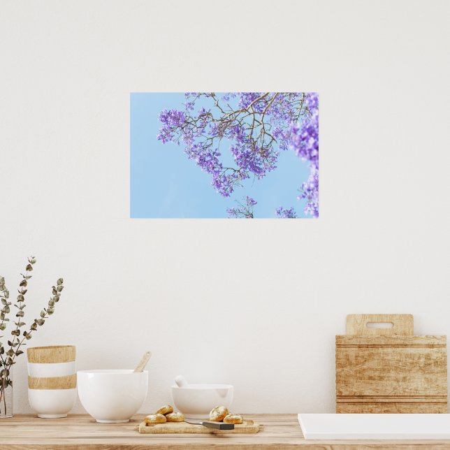 Blühende Jacaranda-Baumzweige Poster (Küche)