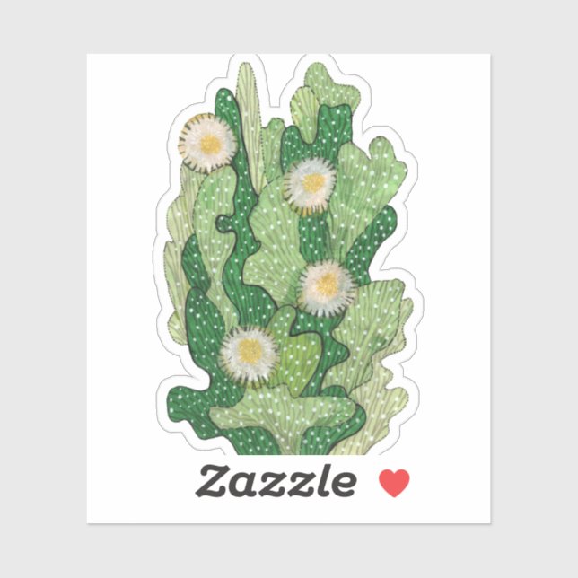 Blühende Kakteen, sukkulente Blume, wüste Pflanze Aufkleber (Blatt)