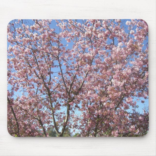 Blühende Kirschbäume Mousepad (Vorne)