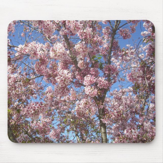 Blühende Kirschbäume Mousepad (Vorne)