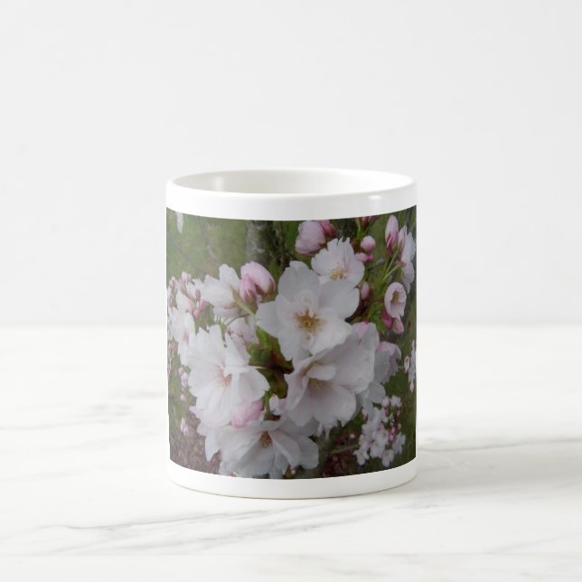 Blühende Kirschblüten Kaffeetasse (Mittel)