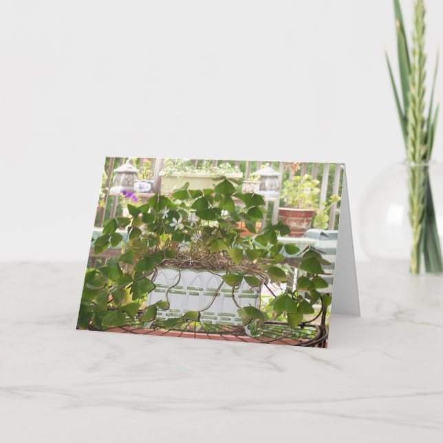 Blühende Kleeblätter Karte (Vorderseite)