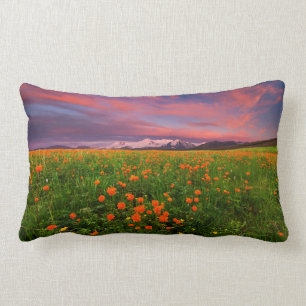 Blühende Kugel-Blume Lendenkissen