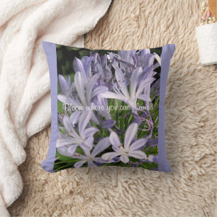 Blühende Lila Agapanthus-Blume Kissen